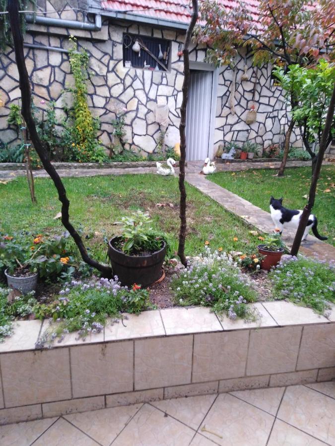 Janina Hisa Apartment Stolac Bagian luar foto