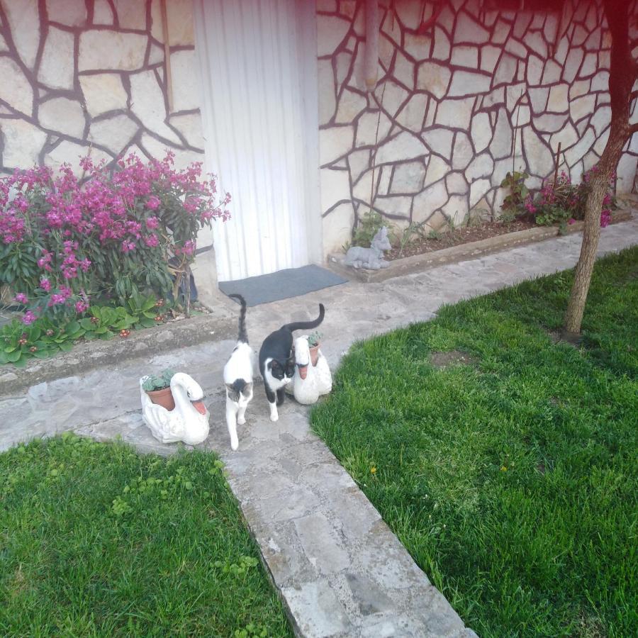 Janina Hisa Apartment Stolac Bagian luar foto
